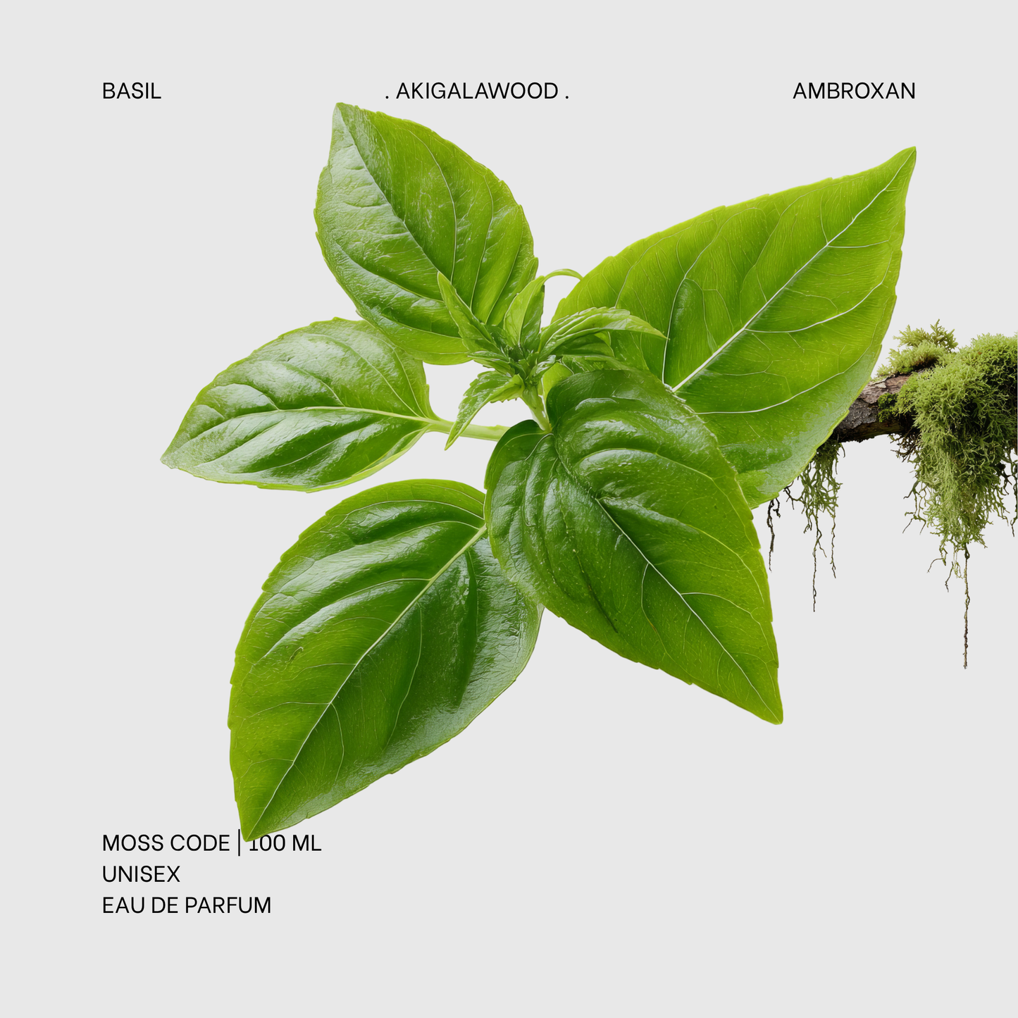 Moss Code | 100ml